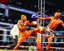 golola2